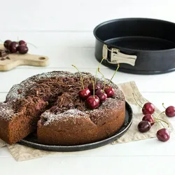 Zenker Springform Kuchenform Backform Kuchen Form Flachboden Antihaft 24 cm