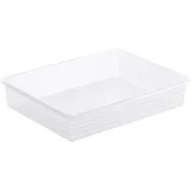 Rotho Aufbewahrungskorb Linus A4 34,5 x 24 x 10 cm transparent