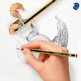 Staedtler Noris® 120 Bleistifte HB schwarz/gelb, 1 Set
