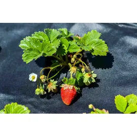 Aquagart Gartenvlies 50m2 Unkrautvlies