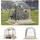 Vevor Transparentes Zelt 160x160x182 cm