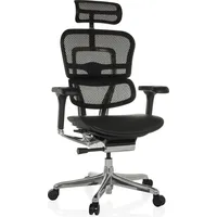 HJH Office Luxus Chefsessel ERGOHUMAN GEN2 Leder/Netzstoff mit Armlehnen