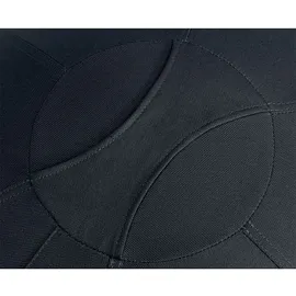 Leitz Ergo Active Sitzball dunkelgrau 75,0 cm