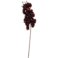 2474U Kunst-Stielblume Orchidee bordaux-rot ca. 100cm naturgetreue Blüte Seidenblume