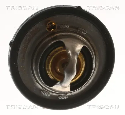 TRISCAN Thermostat, Kühlmittel 862060182 für Ford