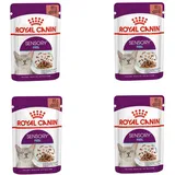 Royal Canin Sensory Feel Nassfutter in Soße 4 x 12 x 85 g