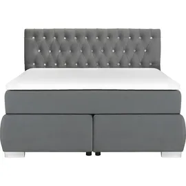 LEONIQUE Boxspringbett LEONIQUE "Rumba", grau (hellgrau), B:150cm L:213cm, Samtoptik (100% Polyester), Komplettbetten, Boxspringbett Seniorenbett Polsterbett, Taschenfederkern-Matratze in Härtegrad 3, in 4 Breiten, incl. Topper