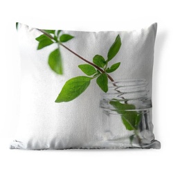 MuchoWow Dekokissen Ein einzelner Oregano-Zweig in einem Glasgefäß in einer hellen, Kissenhülle für den Außenbereich, Kissenbezüge, Outdoor, Dekokissen bunt 60 cm x 15 cm x 60 cm