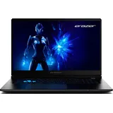 Medion Defender 17 P1 17,3" Intel Core 7 240H 32 GB RAM 2 TB SSD RTX 5060 Windows 11 Grau