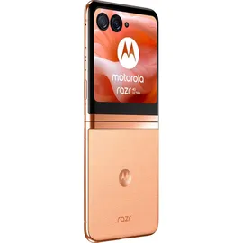 Motorola Razr 40 Ultra 5G 8 GB RAM 256 GB peach fuzz