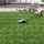 Ecovacs Goat O800 RTK