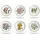 H&H Flowers Set mit 6 flachen Tellern, Porzellan, 27 cm