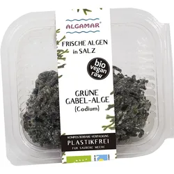 Frische Grüne Gabel-Algen in Meersalz - bio & roh (0.1kg)