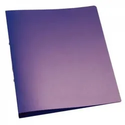 Schulordner, A4, 2-Ring, 25mm, transluzent violett