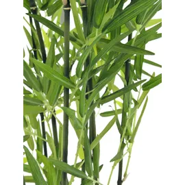 Europalms Zierbambus in Dekoschale, 120cm