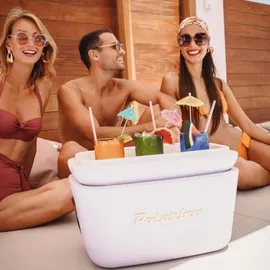POLARBOX Kühlbox Pop 20 l