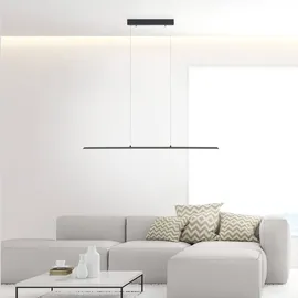 neuhaus pure LED-Pendelleuchte Pure Lite Alu, Eisen, Stahl & Metall Grau Anthrazit 100 cm