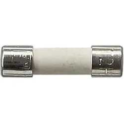 Gira Sicherung T2 H 250 V 049806