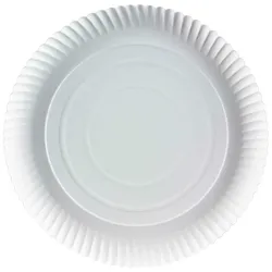VEPATIM 100x Pappteller tief 26A rund 26 cm 2 cm tief