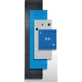Kappes Lochplatte Kunststoff/Stahl B450xL1000mm grau