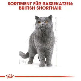 Royal Canin Adult British Shorthair 400 g