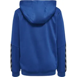 hummel Authentic Poly Hoodie, True Blue 116