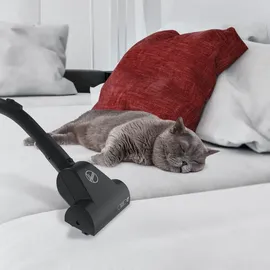 Hoover Staubsauger Tierhaare mit Beutel und Kabel Brave PET mit Tierhaar-Düse I Tierhaar-Staubsauger für Hundehaare & Katzenhaare I Mit größenverstellbarem Stab, EPA-Filter, 5m Kabel und Griff