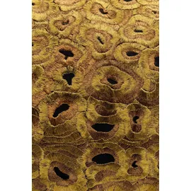 Kare Kissenbezug Cheetah 40 x 60 cm Braun