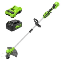 Greenworks GD24LT33K4 inkl. 1 x 4,0 Ah