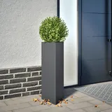 vidaXL Pflanzkübel 30 x 26 x 75 cm Anthrazit