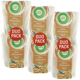 Airwick Wohlfühl Duftkerze Warme Vanilleplätzchen 2 x 105 g