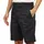 Dickies 874 Short