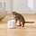 CATlink Wasserspender für Haustiere Weiß