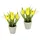 I.GE.A. Kunstblume I.GE.A. "Tulpe", gelb, B:10cm H:19cm L:10cm, Kunstpflanzen, Im Keramiktopf, 2er Set