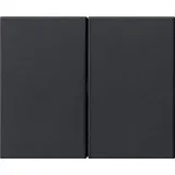 Gira Wippe 2fach System 55 schwarz matt