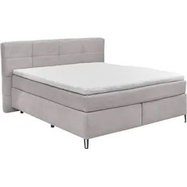 Set One by Musterring Boxspringbett Fairfield 180 x 200 cm Stoff Flamingo