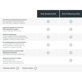 Microsoft Visio Professional 2016 ESD DE Win