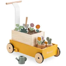 hauck Learn to Walk Plants