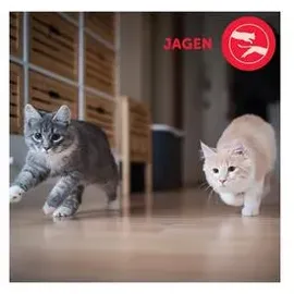 Ceva Feliway Friends Nachfüllflakon