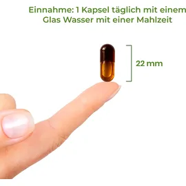 vitality nutritonals Complete Vitamin E Kapseln 60 St.
