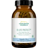 HEIDELBERGER CHLORELLA B-Life Protect Kapseln