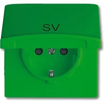 Busch-Jaeger Steckdoseneinsatz 20 EUGKB-13-102 grün