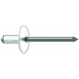 GESIPA Blindniettechnik GmbH Blindniete Alu/Stahl Grosskopf 4,8 x 25 K 16