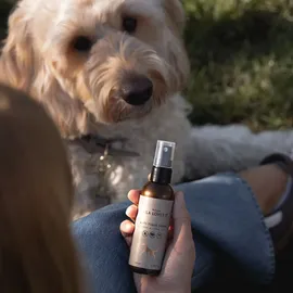Lila loves it Anti-Tique Spray Insektenschutz 100 ml
