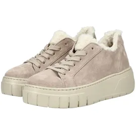 Gabor Sneaker low in beige | Gr.: 38,5