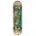 Tony Hawk SS 180 Crocodile Creek 7.75 ́ ́ Skateboard - Multicolor - 7.75 Zoll