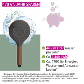 Wenko Duschkopf Watersaving Wood