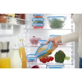 Emsa Frischhaltedose CLIP & CLOSE 5,8 cm hoch transparent 0,55 l, 1 St.