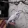 Nemesis Now Harry Potter Hedwig