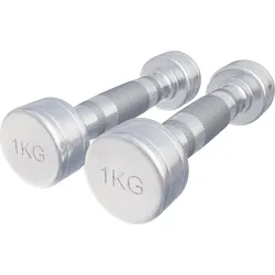 Kurzhantel Chrom 1 - 20 kg silber|silber|silber 2x1kg
